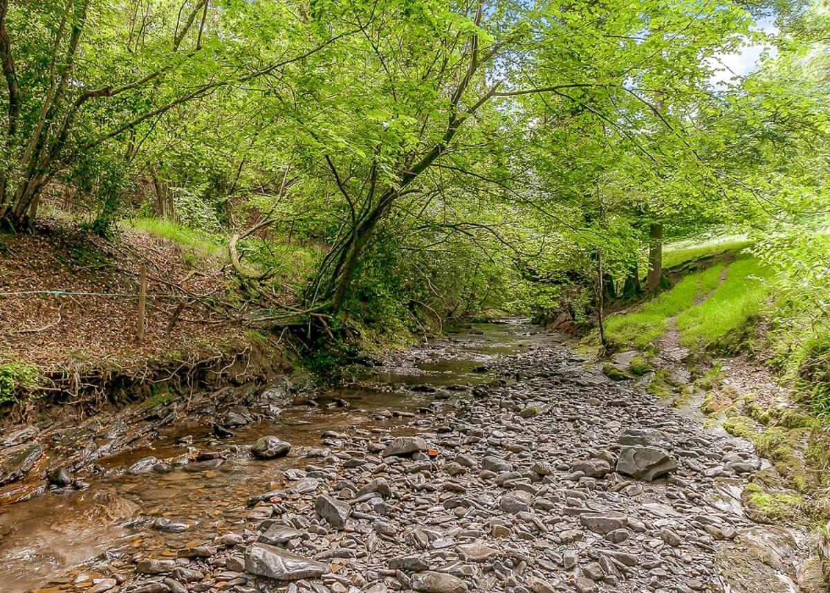Nant-Y-Coed Lodges Mochdre  Εξωτερικό φωτογραφία